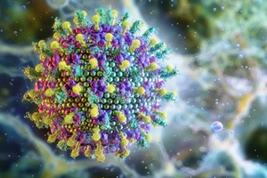 Ilustração: Ruslanas Baranauskas | Science Photos Library.